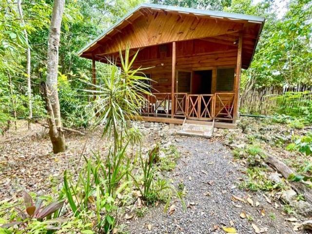 Photo of Others in Oracabessa