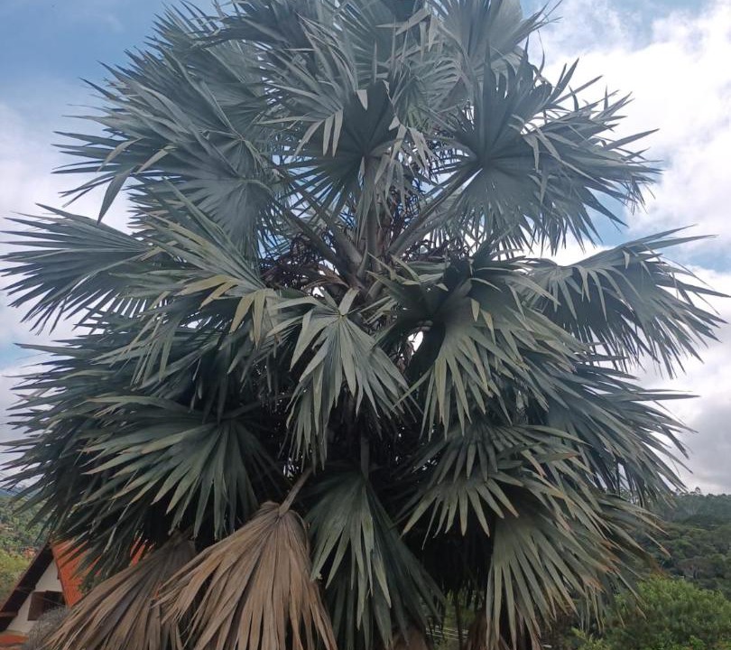 Photo of Outdoor in Miguel Pereira