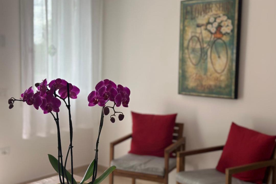 Photo of Livingroom in Adria