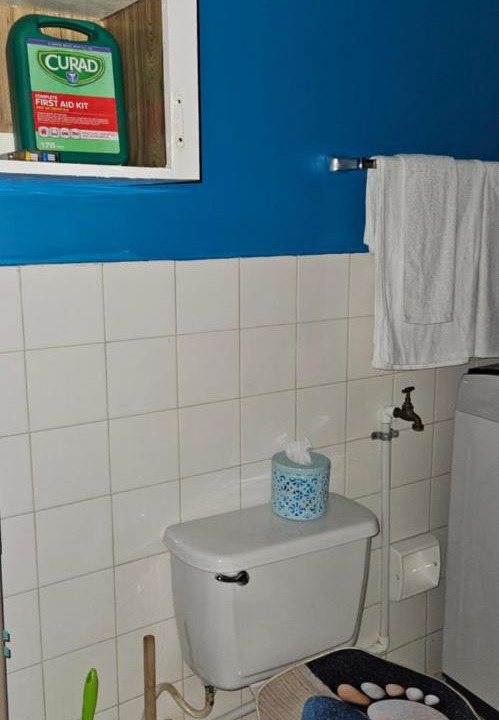 Photo of Bathroom in Spanish Town Zone