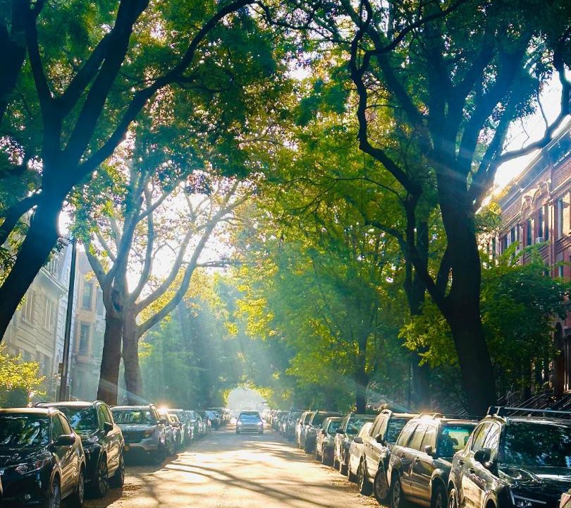 Photo of Others in Park Slope