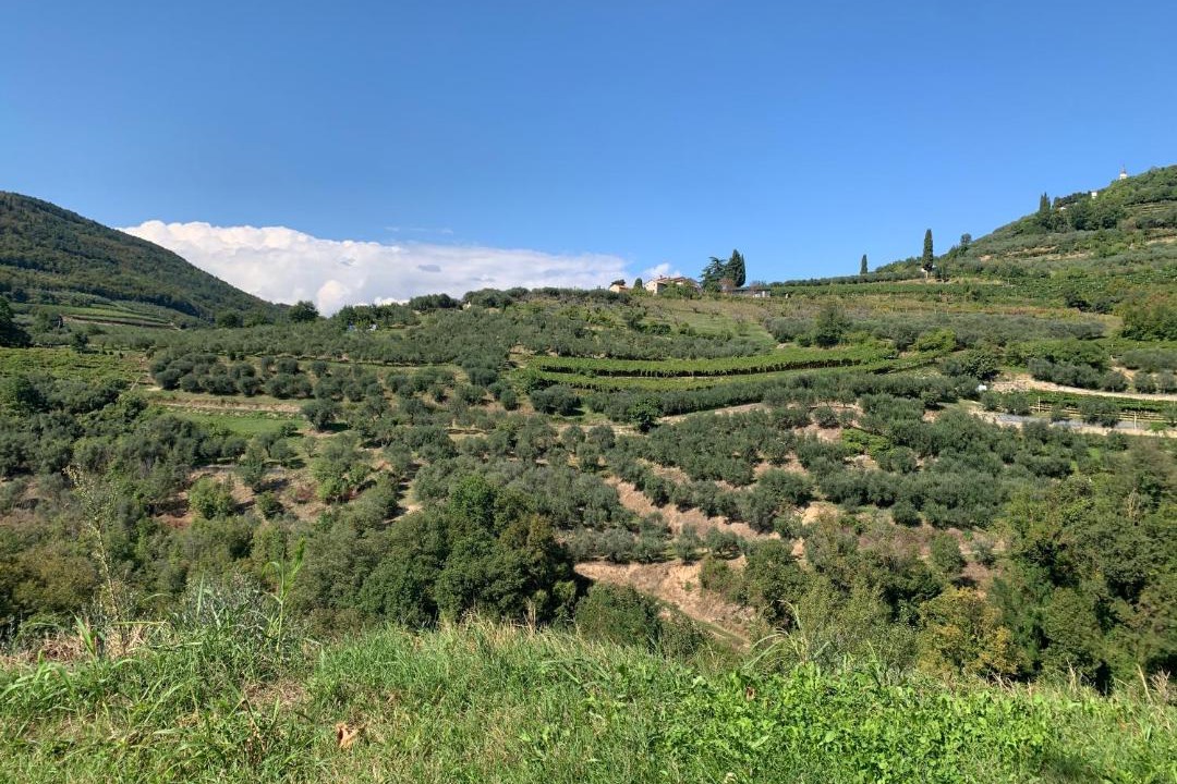 Photo of Others in Cazzano Tramigna