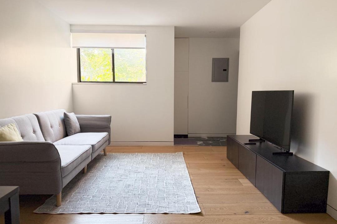 Photo of Livingroom in East Flatbush