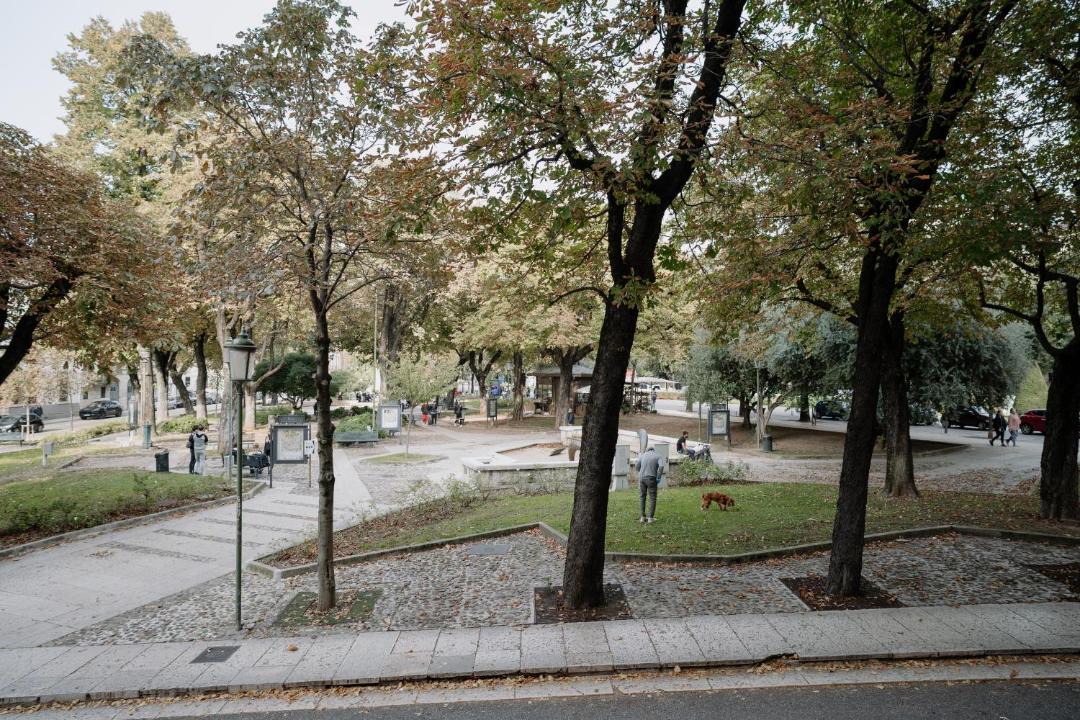 Photo of Others in Cittadella