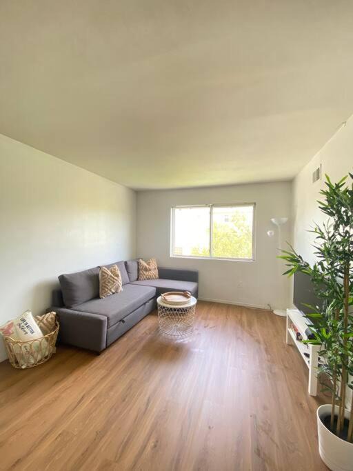 Photo of Livingroom in Queens
