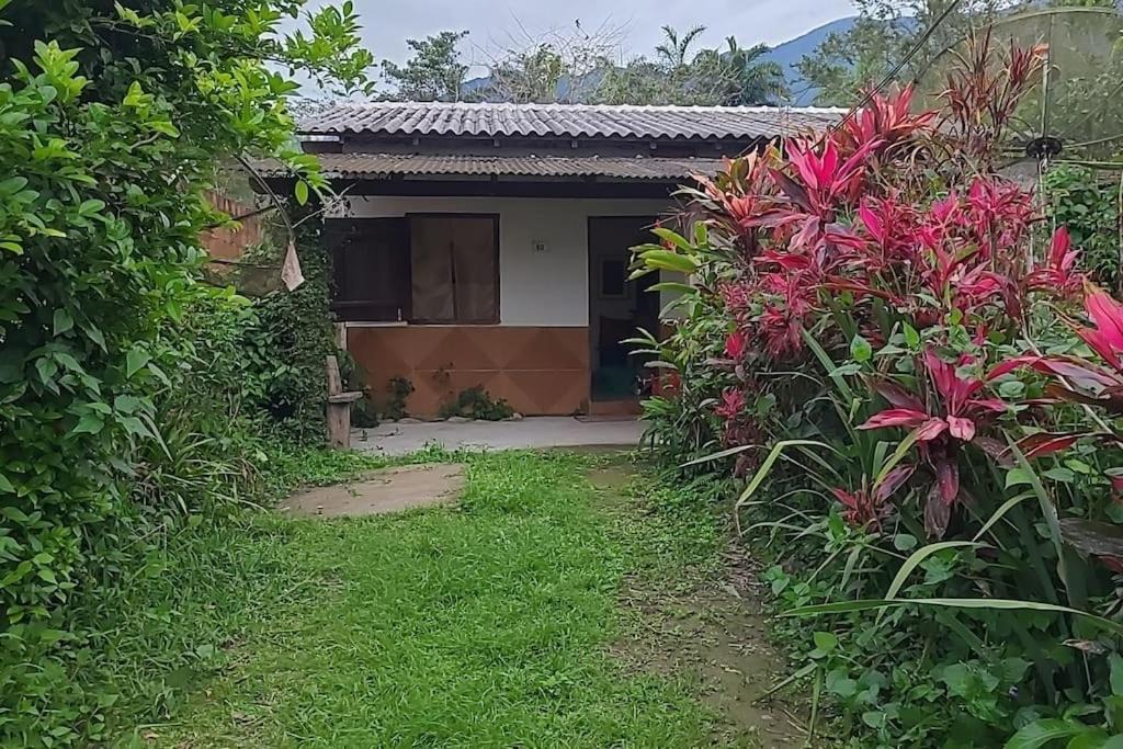 Photo of Others in Paraty