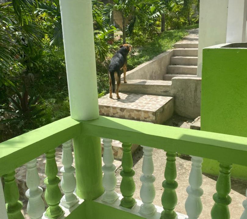 Photo of Patio Balcony in Runaway Bay