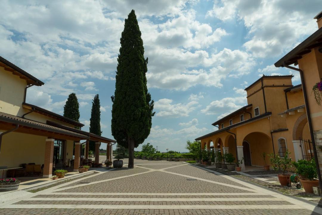 Photo of Others in Gargagnago di Valpolicella