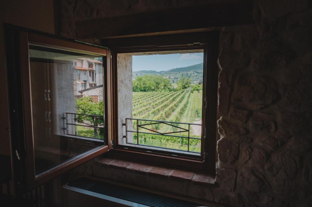 Photo of Others in Gargagnago di Valpolicella