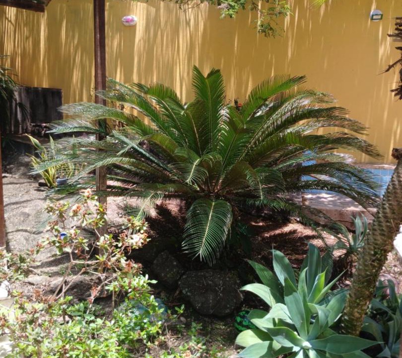 Photo of Others in Tucuns