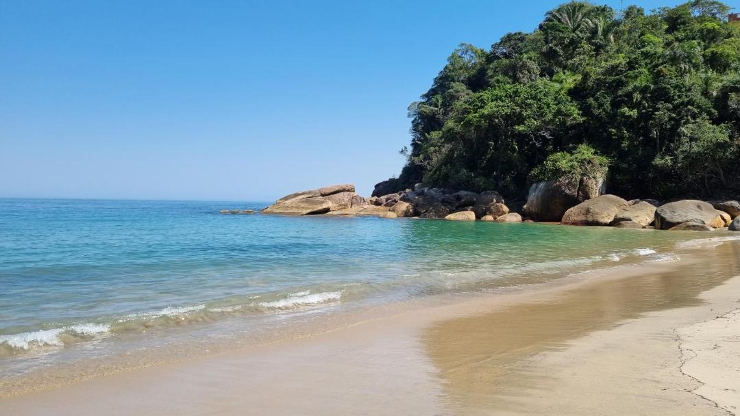 Photo of Others in Paraty