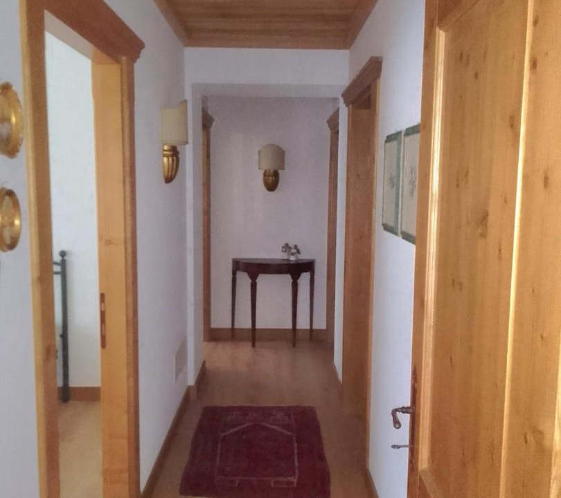 Photo of Others in Venas di Cadore