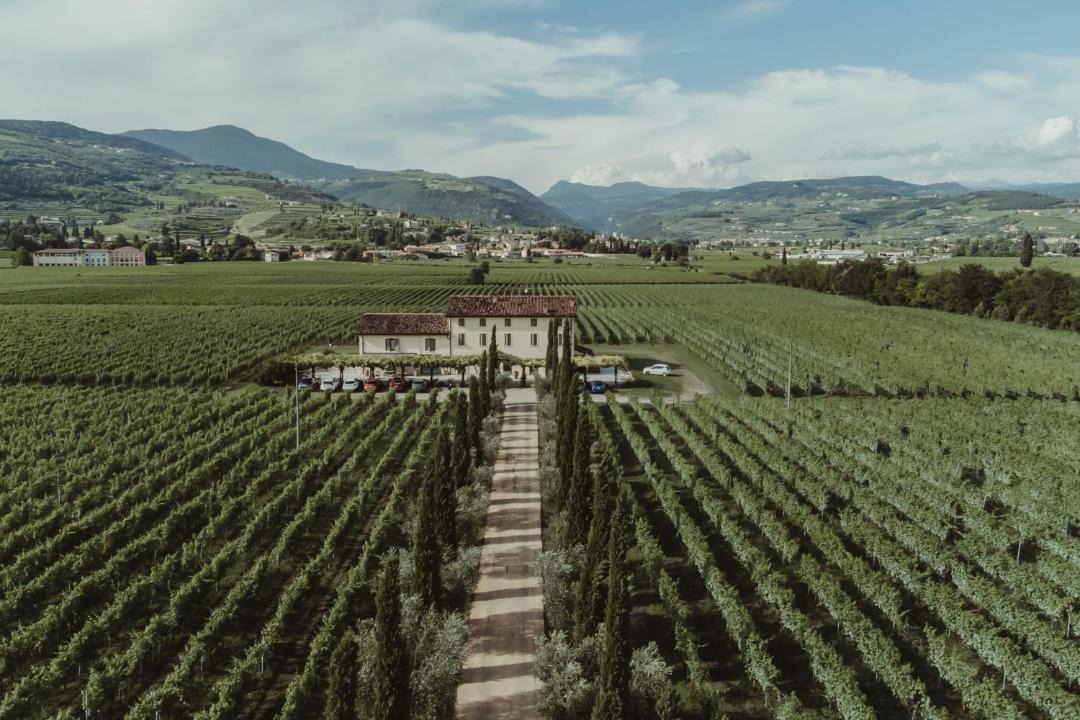 Photo of Others in Gargagnago di Valpolicella