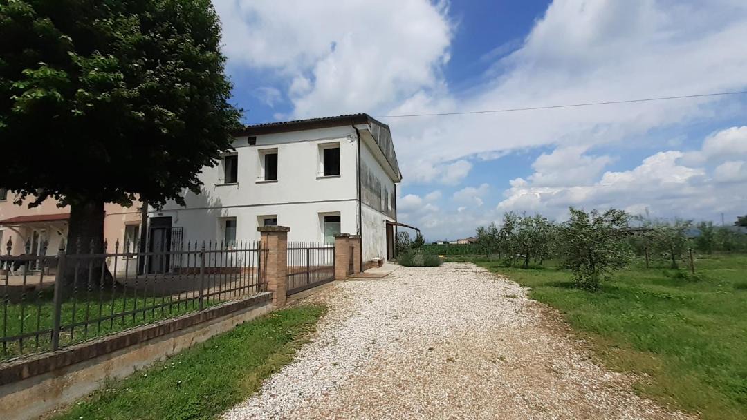 Photo of Others in Cologna Veneta