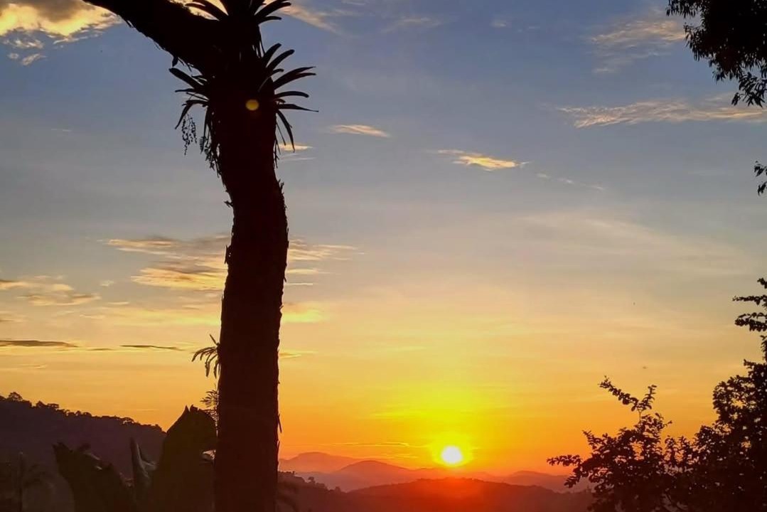 Photo of Others in Paraty