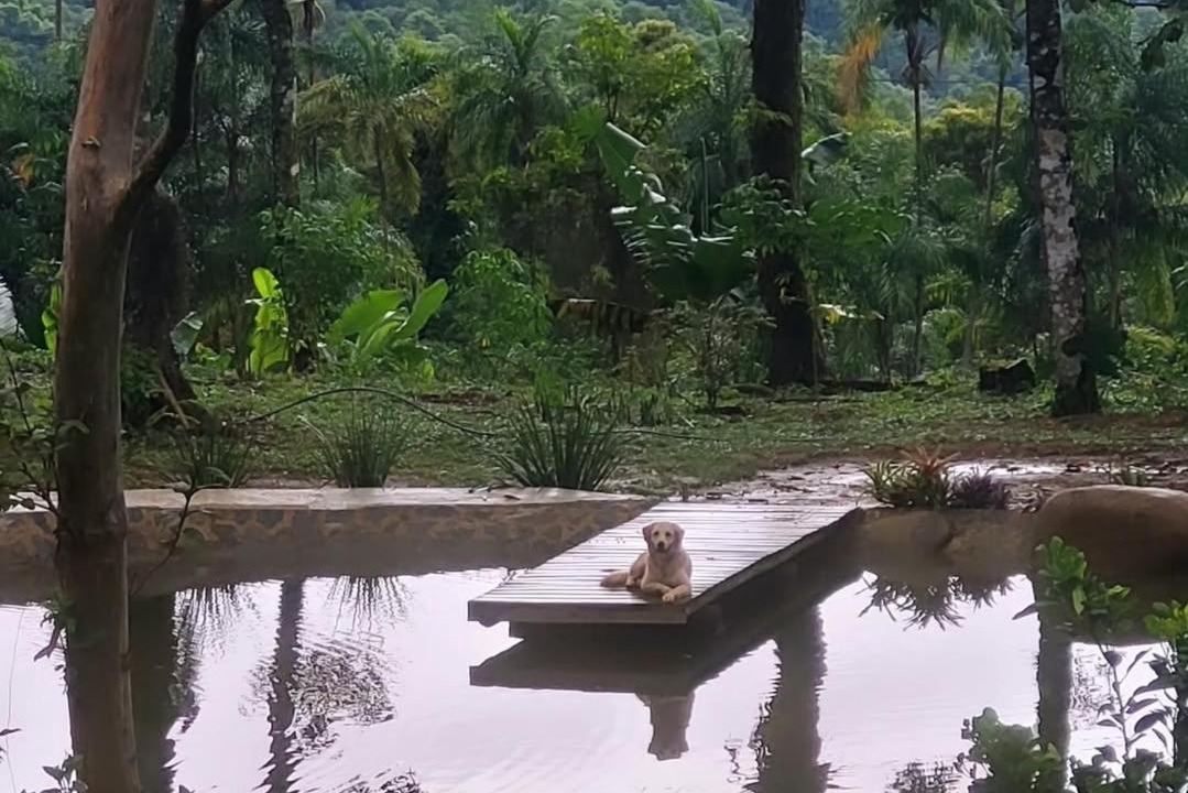 Photo of Others in Paraty