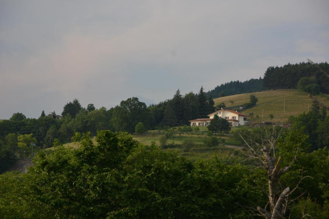 Photo of Others in San Mauro di Saline