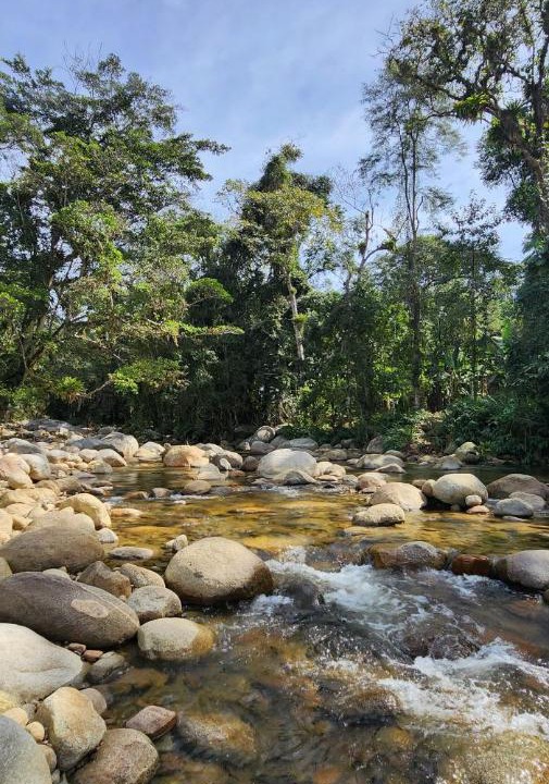 Photo of Others in Paraty