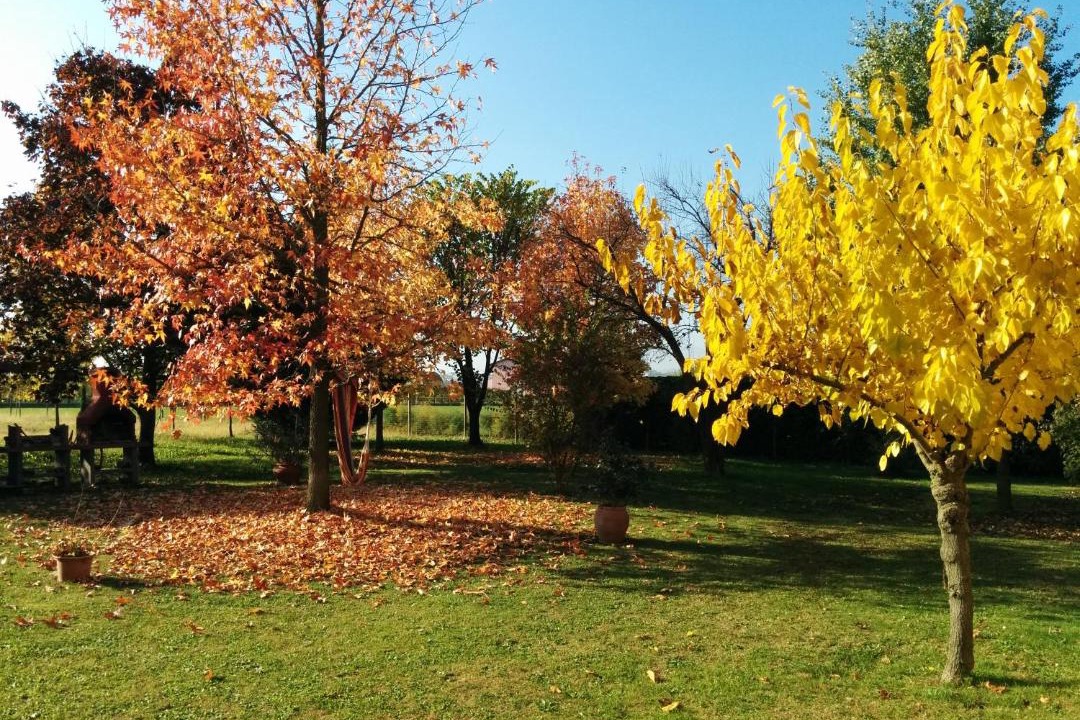 Photo of Outdoor in San Fior di Sopra