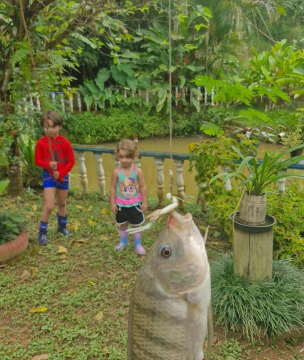 Photo of Others in Cachoeiras de Macacu