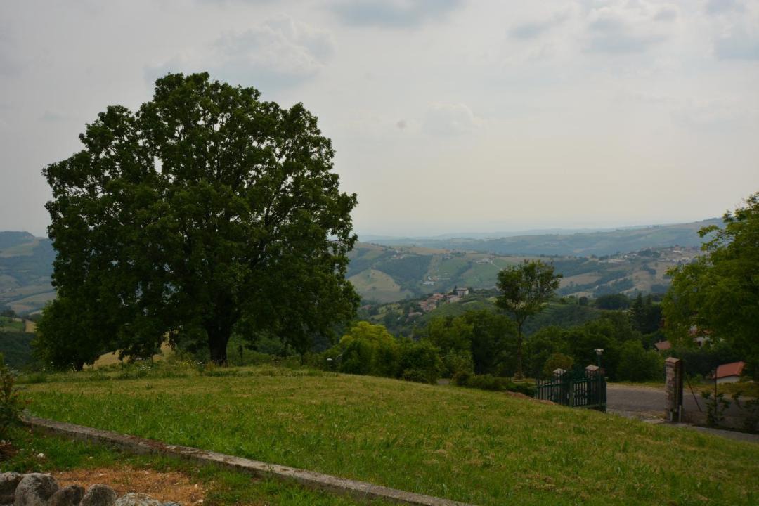 Photo of Others in San Mauro di Saline