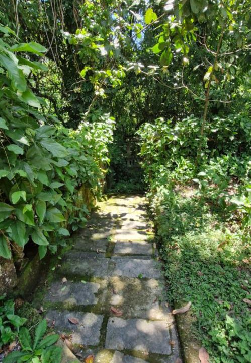Photo of Outdoor in Cachoeiras de Macacu