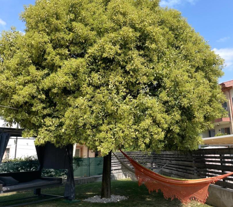 Photo of Outdoor in Caprino Veronese