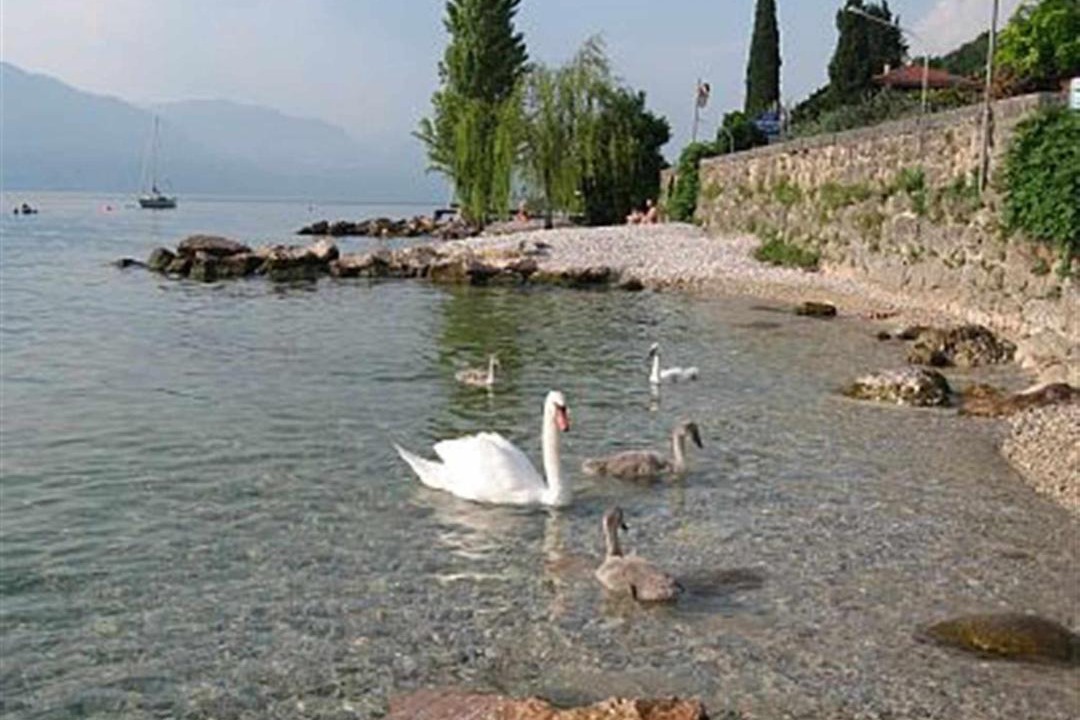 Photo of Others in Corno