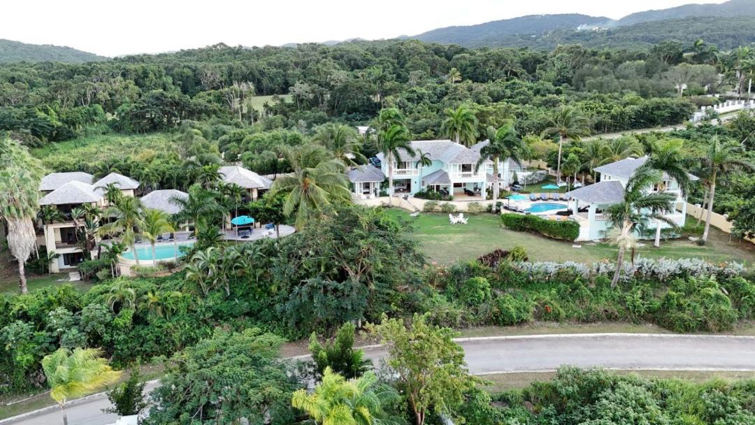 Photo of Others in Montego Bay