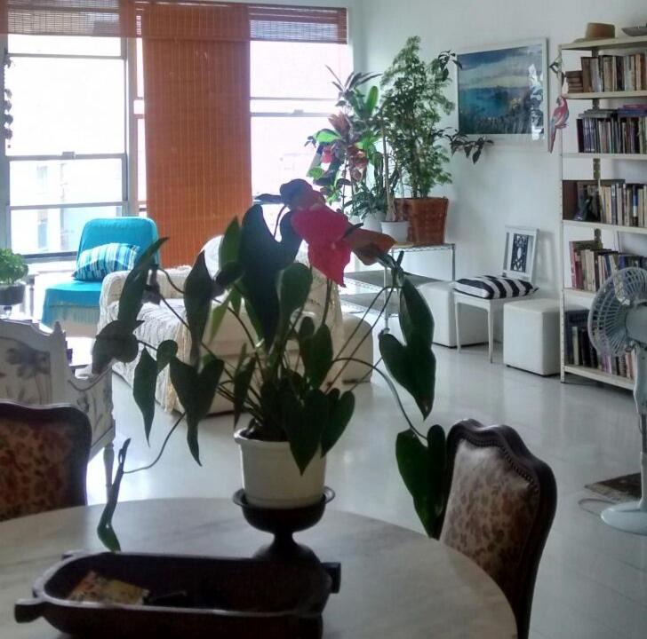 Photo of Livingroom in Flamengo