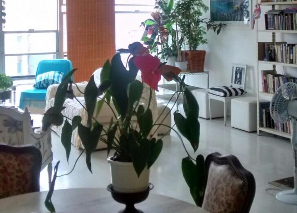 Photo of Livingroom in Flamengo
