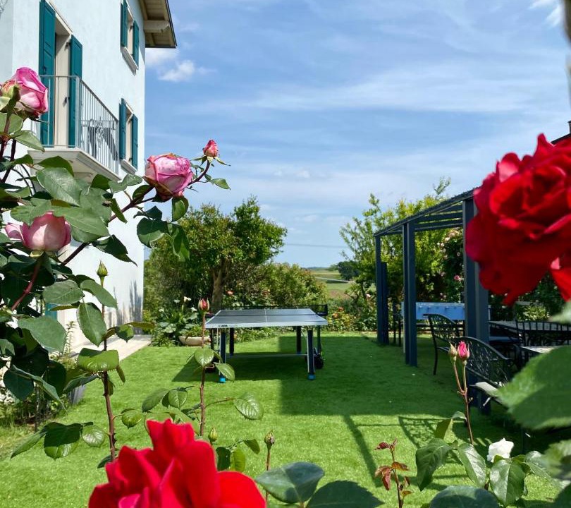 Photo of Others in Castelnuovo del Garda