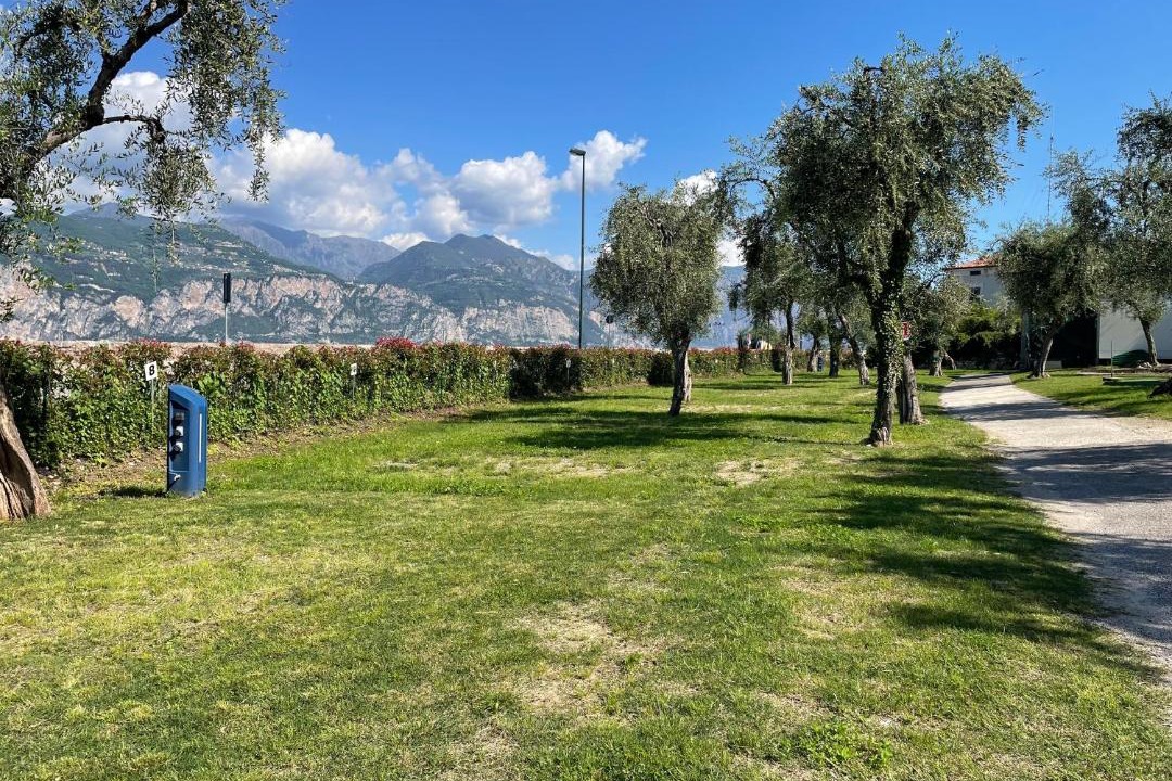 Photo of Others in Assenza