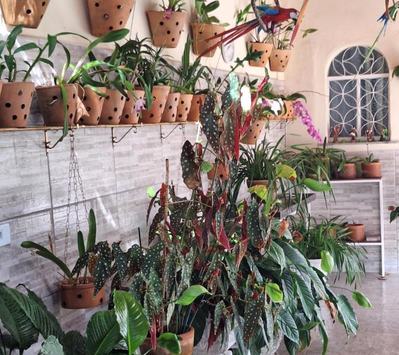 Photo of Others in Piratininga