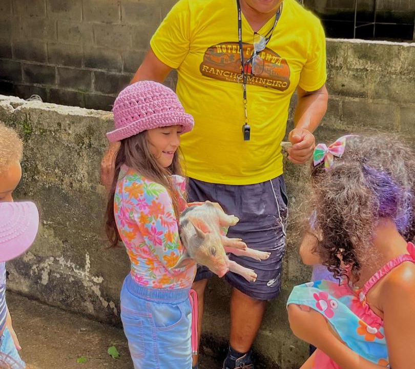 Photo of Others in Engenheiro Paulo de Frontin
