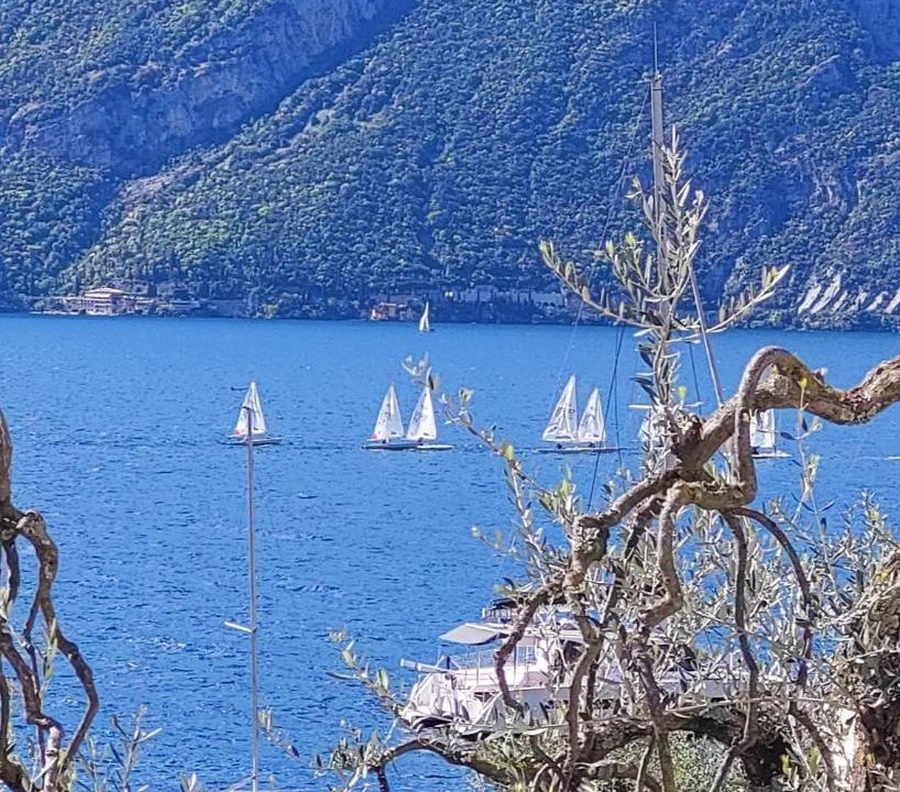 Photo of Others in Assenza