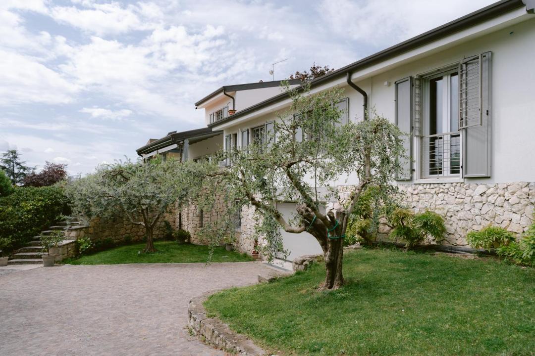 Photo of Others in Pedemonte