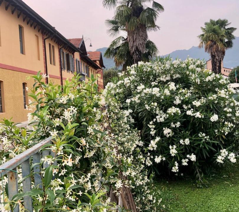 Photo of Others in Schio