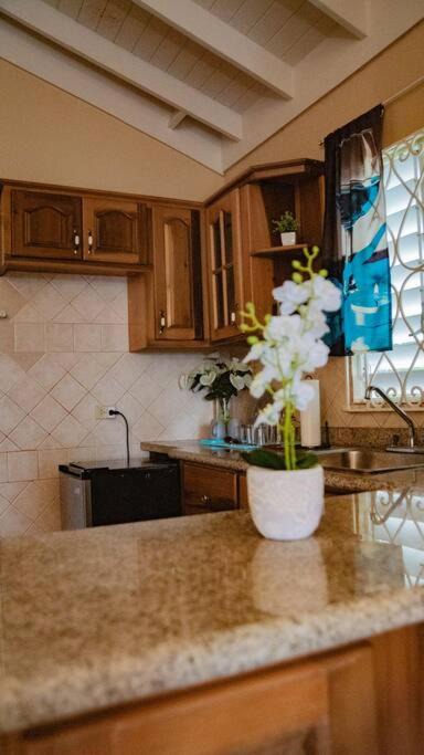 Photo of Kitchen in Greenwich Estate