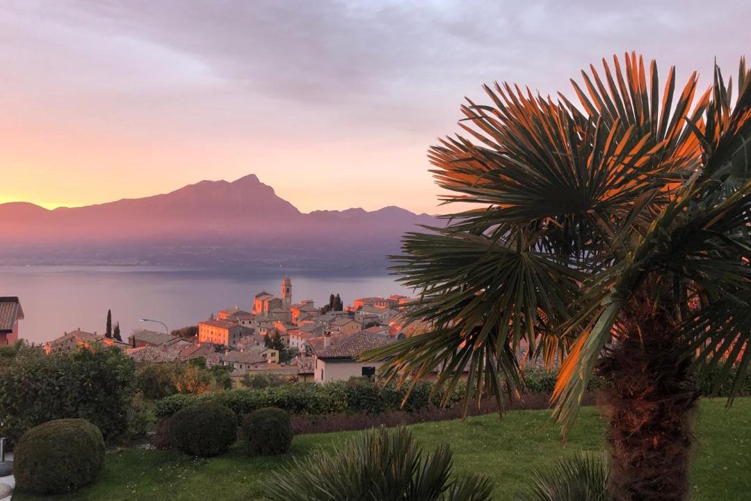 Photo of Others in Albisano