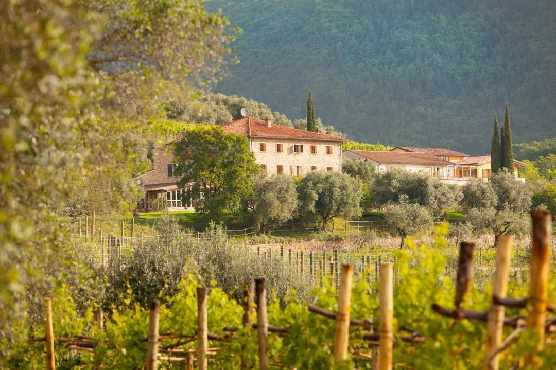 Photo of Others in Gargagnago di Valpolicella
