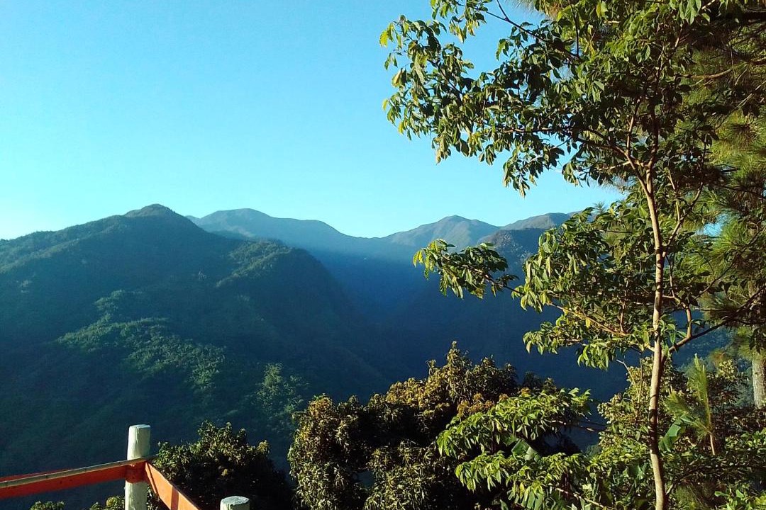 Photo of Others in Blue Mountains National Park