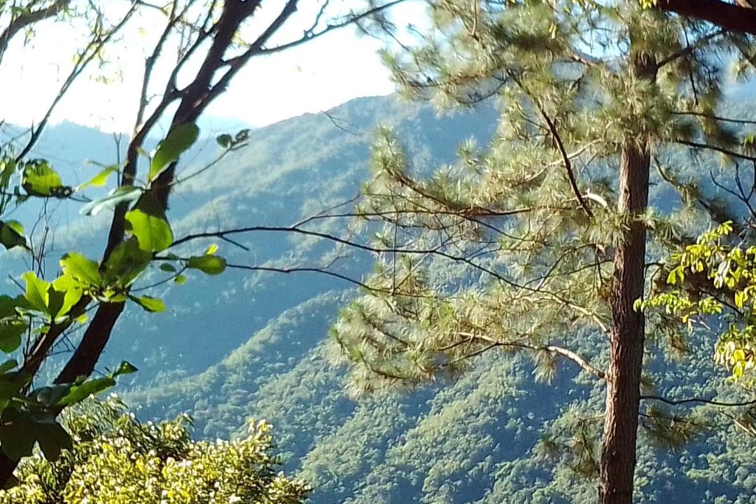 Photo of Outdoor in Blue Mountains National Park