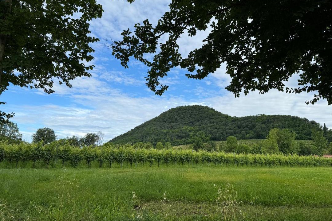 Photo of Others in Teolo