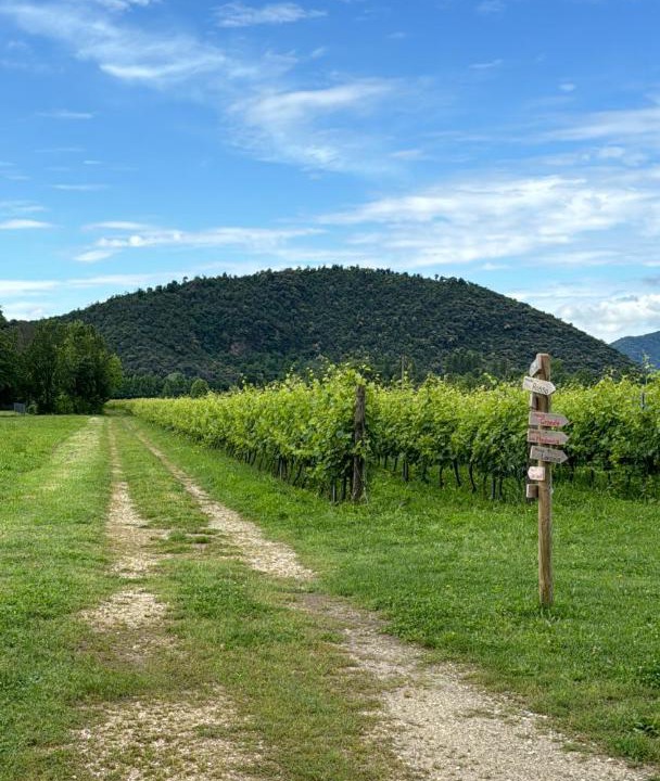 Photo of Others in Teolo