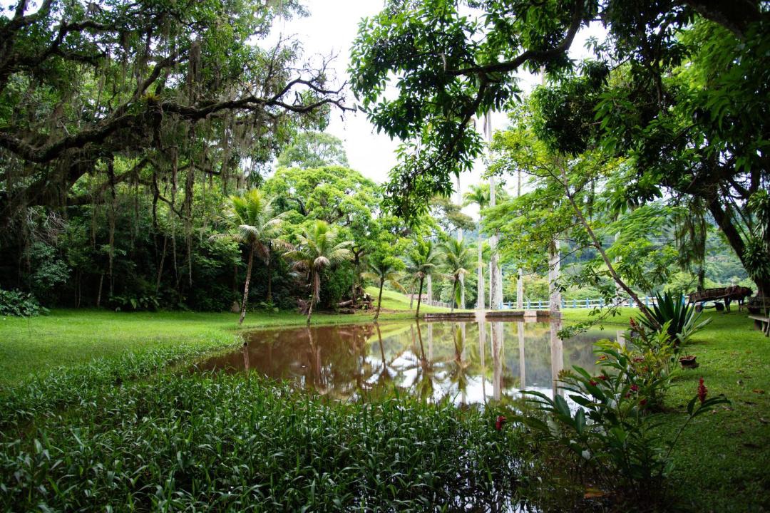 Photo of Others in Barra do Pirai