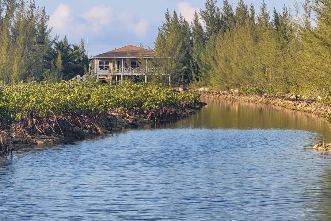 Photo of Others in South Bimini