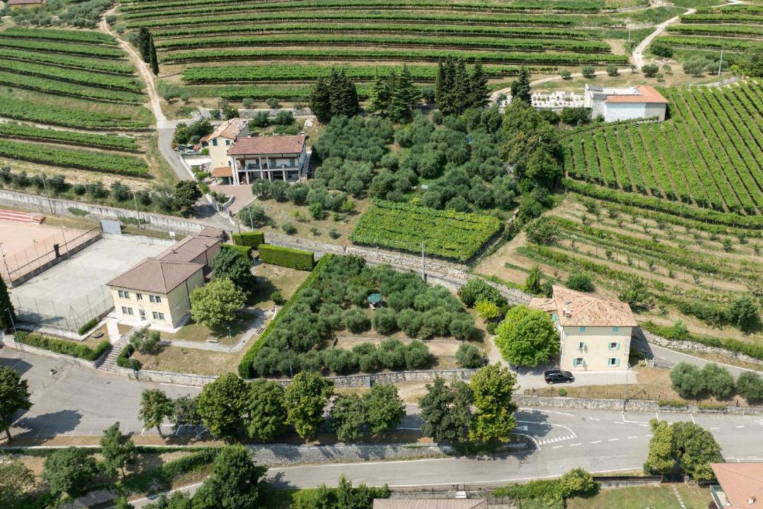 Photo of Others in Mazzurega