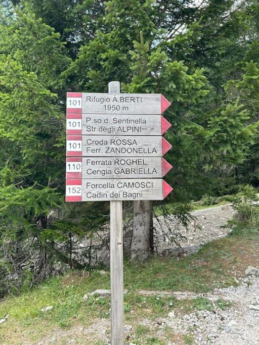 Photo of Others in Danta di Cadore