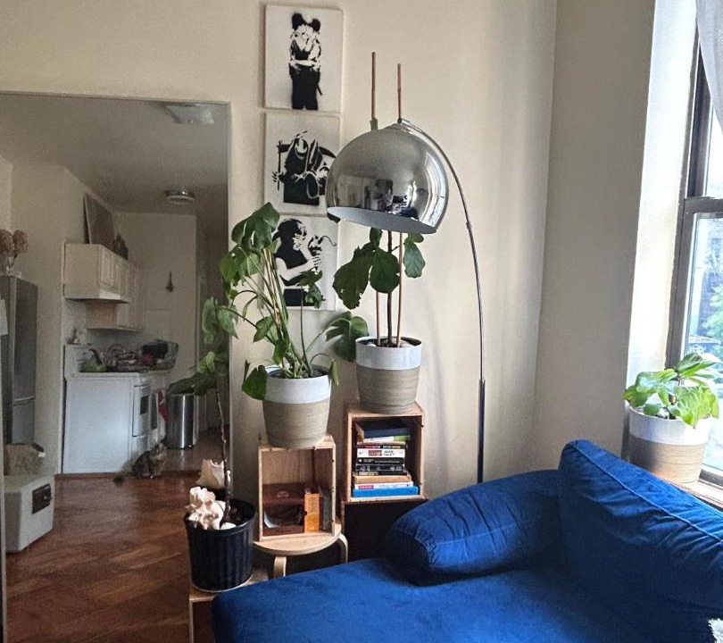 Photo of Livingroom in Brooklyn